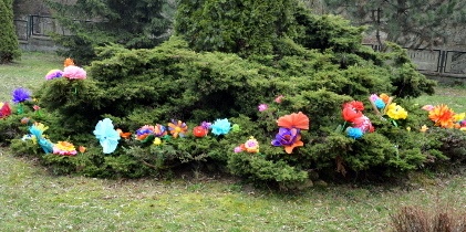 Kolorowe kwiaty w Dobieszowicach