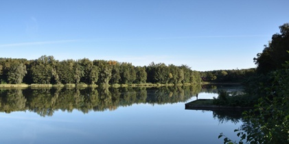 Zagłosujmy na Rogoźnik