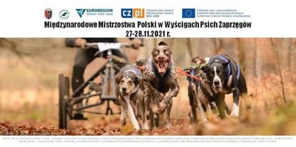 Międzynarodowe Mistrzostwa Polski Dryland 2021